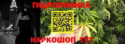 прущий лед Кудрово