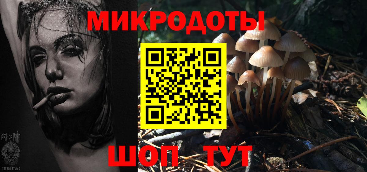 Галлюциногенные грибы мухоморы Мыски